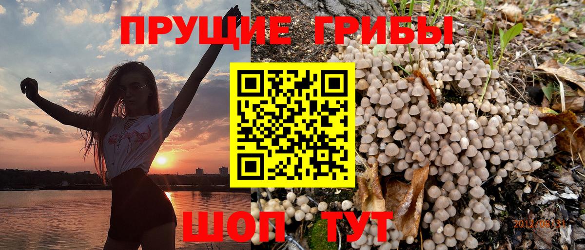 Галлюциногенные грибы ЛСД Анжеро-Судженск