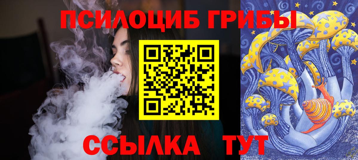 Псилоцибиновые грибы прущие грибы  Вход с VPN  Псилоцибиновые грибы Cubensis  Анжеро-Судженск 