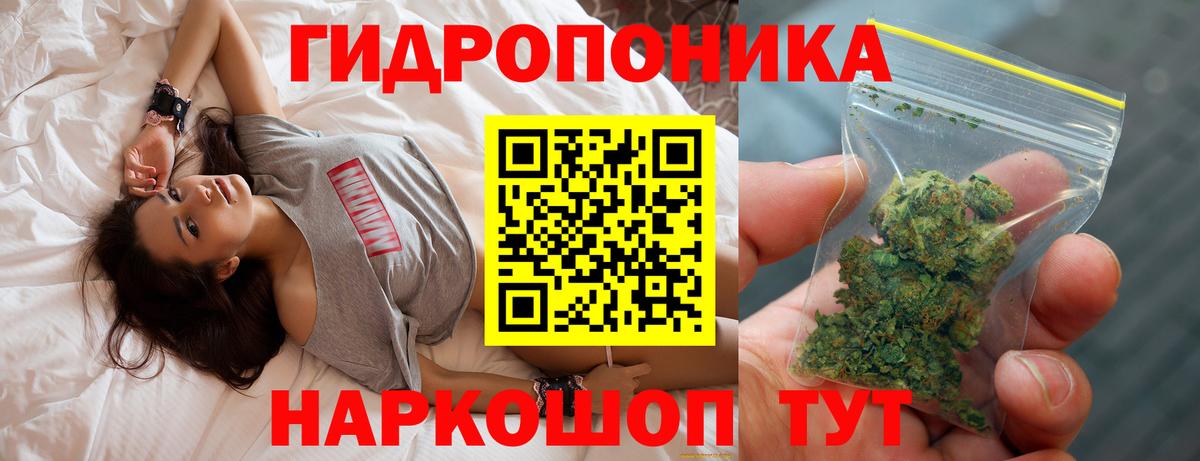 Конопля ГИДРОПОН Анжеро-Судженск